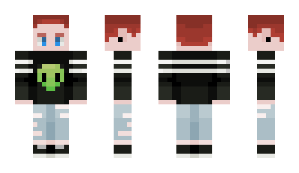 Minecraft skin asstronaut