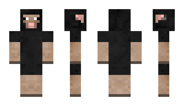 Minecraft skin Sanke
