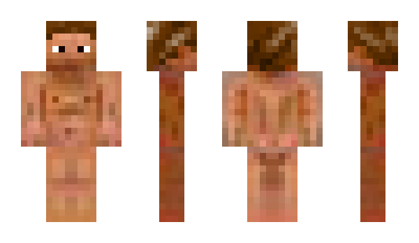 Minecraft skin Determinate