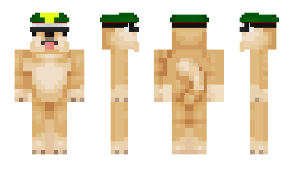 Minecraft skin Robtar