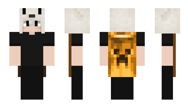 Minecraft skin typecekxd