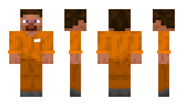 Minecraft skin dnal