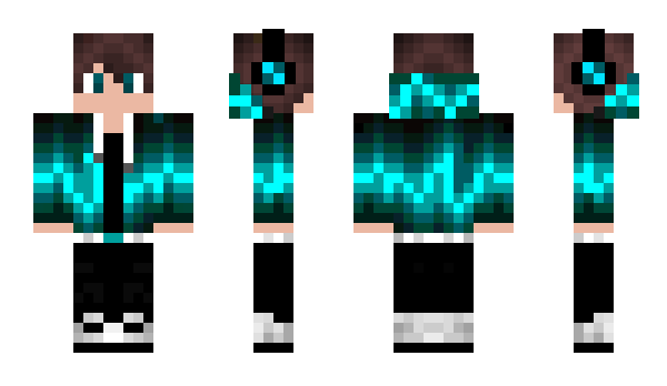 Minecraft skin T1VA