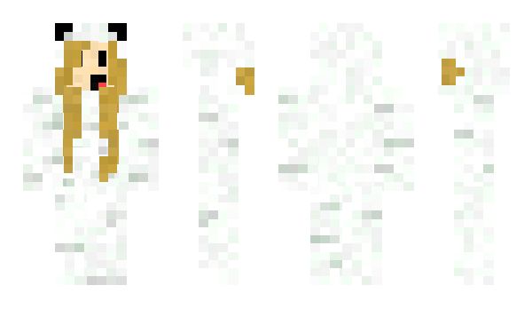 Minecraft skin Mydi