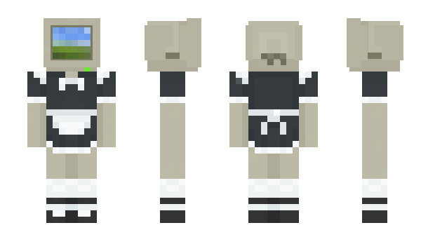 Minecraft skin TimeColor