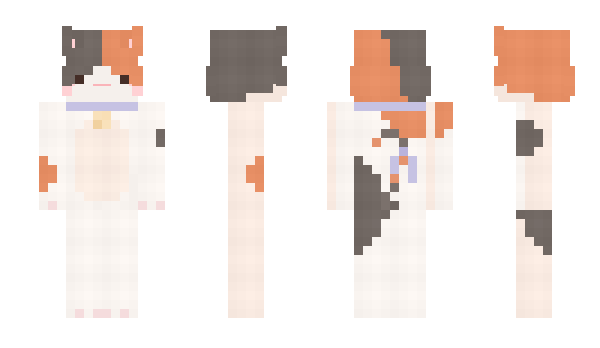Minecraft skin 30br