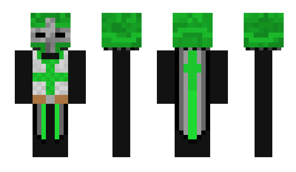 Minecraft skin ZibbL