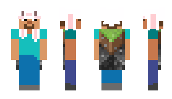 Minecraft skin _bhop