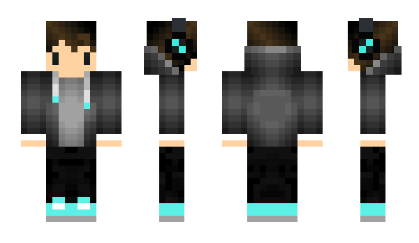 Minecraft skin Trico_