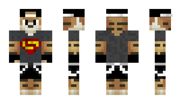 Minecraft skin tigerdead