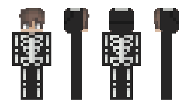 Minecraft skin SrPenguin18