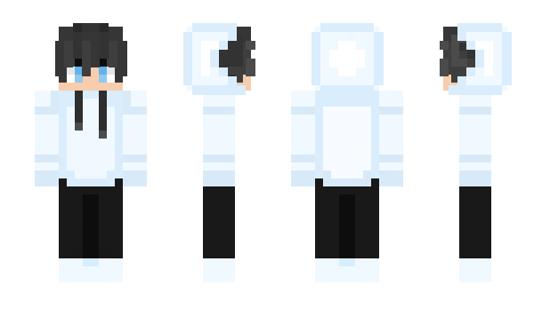 Minecraft skin Vanvas