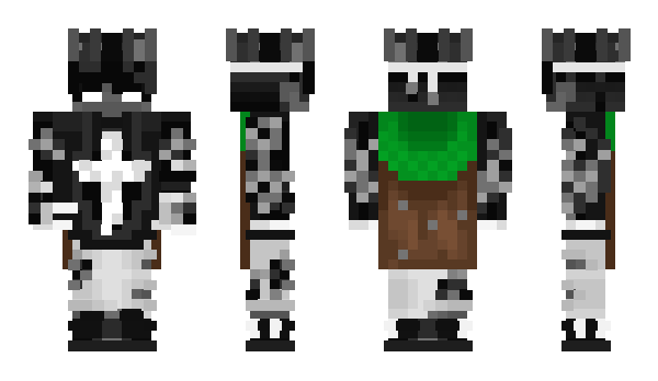 Minecraft skin WhitePi