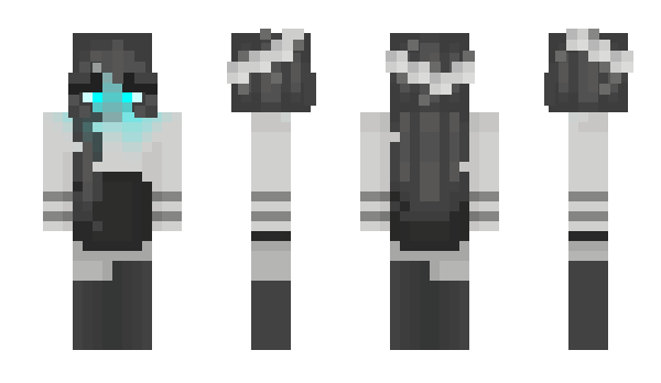 Minecraft skin Triock