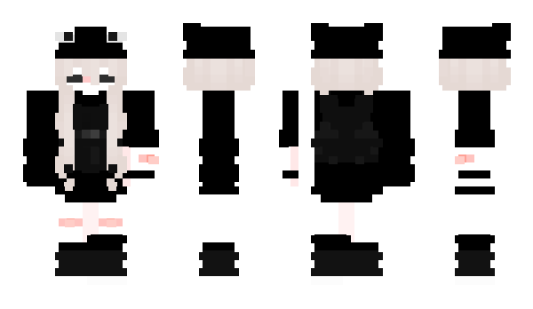 Minecraft skin phouder