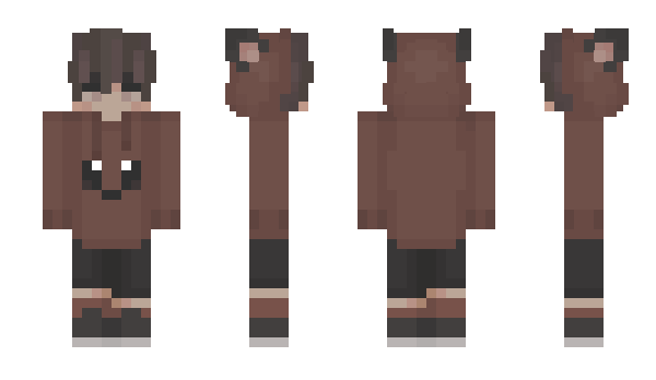 Minecraft skin SSONY