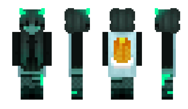 Minecraft skin Team_WC