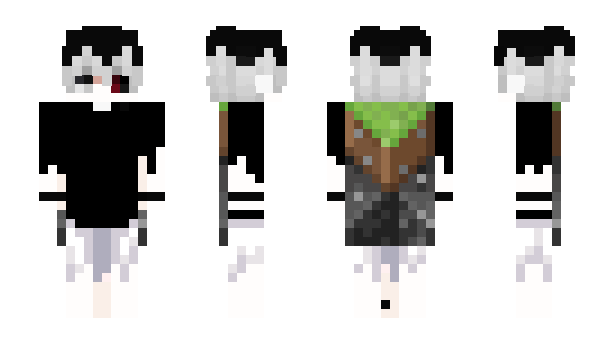 Minecraft skin Kamprr