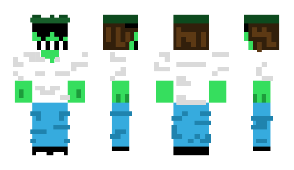 Minecraft skin Lokaviech