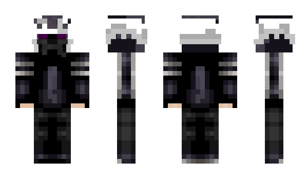 Minecraft skin Erass