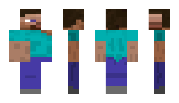 Minecraft skin BreakGate