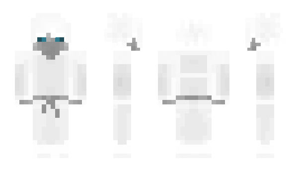 Minecraft skin 115g
