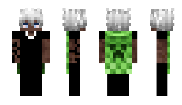 Minecraft skin fynn_jsn