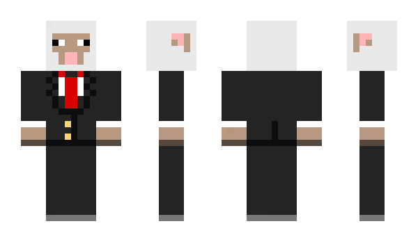 Minecraft skin 3_DONNIE_3