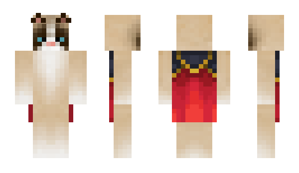 Minecraft skin KOT3