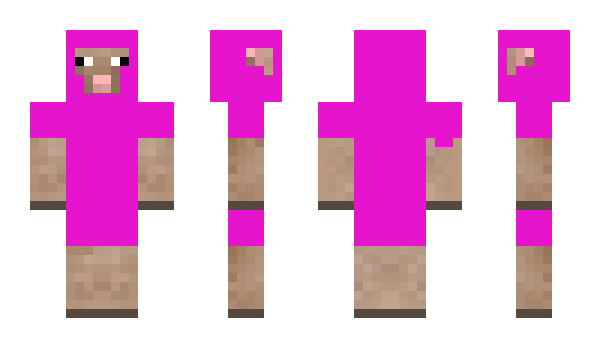 Minecraft skin Nikkr