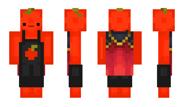 Minecraft skin t0mei