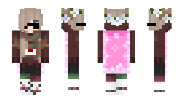 Minecraft skin Sokagrafie