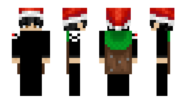 Minecraft skin _KoiMC