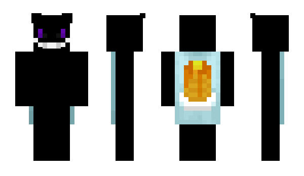 Minecraft skin _MINIPEKKA____