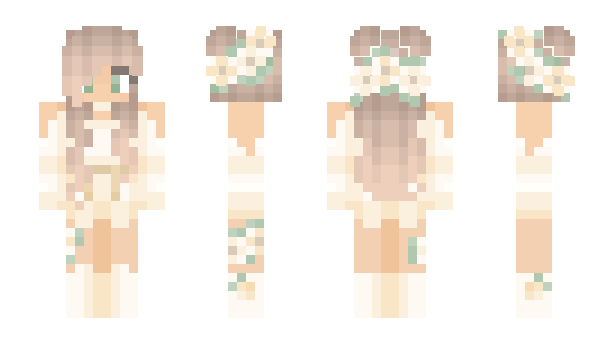 Minecraft skin dreamskin