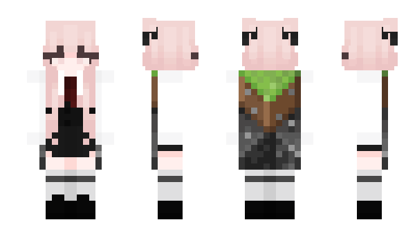 Minecraft скин по нику KnowYourMeme