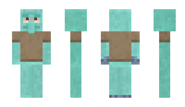 Minecraft skin Turtuga