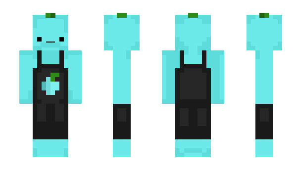 Minecraft skin ItzHelder