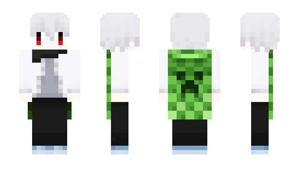 Minecraft skin biarisu