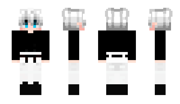 Minecraft скин по нику praticable