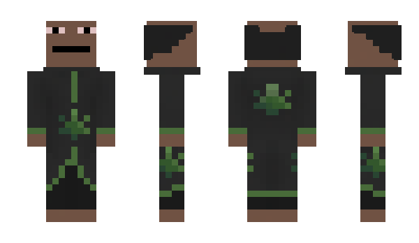 Minecraft skin rgd_v
