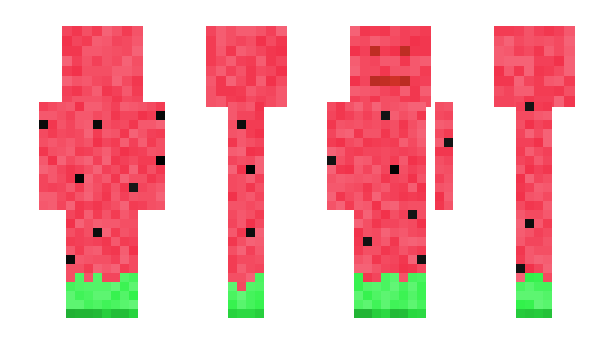 Minecraft скин по нику zLxv