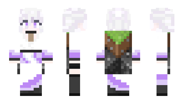 Minecraft skin Sb_qiutisiqtest
