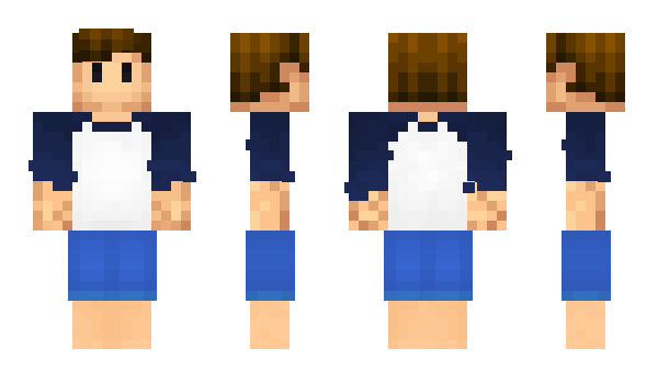 Minecraft skin votax