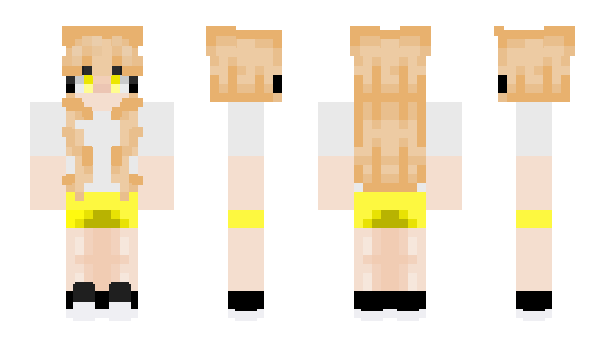 Minecraft skin Loins