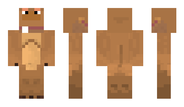 Minecraft skin pauapauu