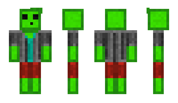 Minecraft скин по нику Baummann21