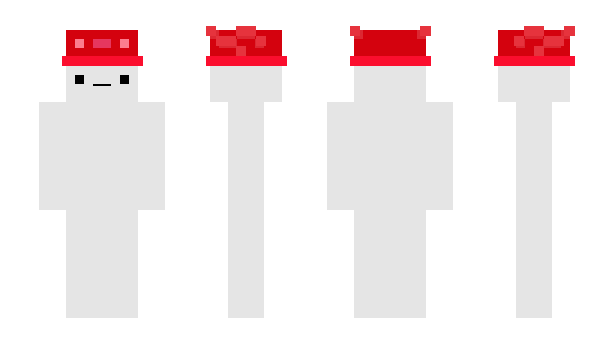 Minecraft skin Parruted