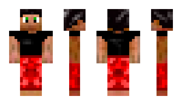 Minecraft skin DrAgOnPlAy