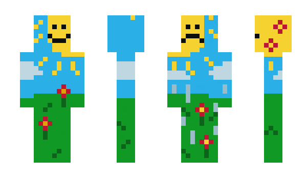 Minecraft скин по нику behs_